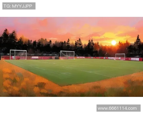 高清足球明星插图壁纸精选让你感受绿茵场上的激情与魅力