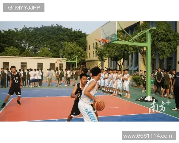 吴强独家篮球心得分享探索技巧与战术的完美结合