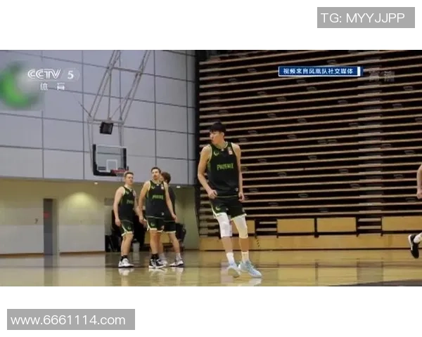 杭州篮球队节奏表现分析与联赛影响探讨