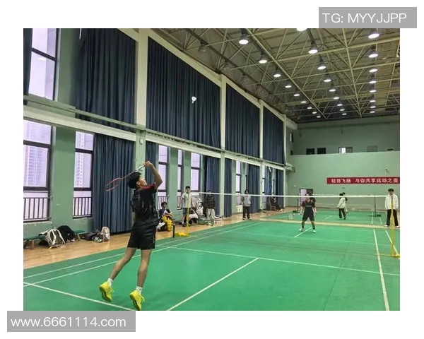 武汉羽毛球队防反打法深度分析与战术解析